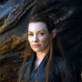 Tauriel - The Desolation of Smaug - Happy New Year