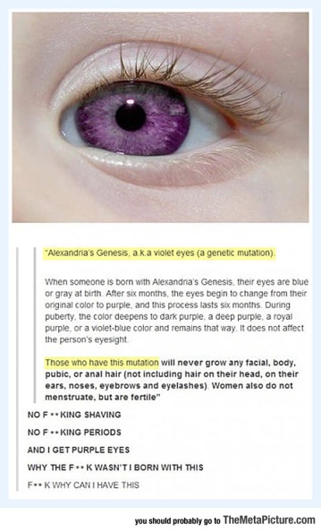 cool-Alexandria-Genesis-violet-eyes.jpg