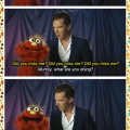cool-Benedict-Cumberbatch-Murray-Muppet