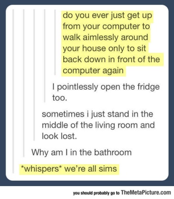 cool-computer-Sims-fridge-walking-lost