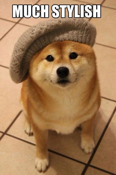 cool-Doge-hat-style-clothe-dog.jpg