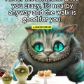 cool-driving-crazy-quote-Cheshire