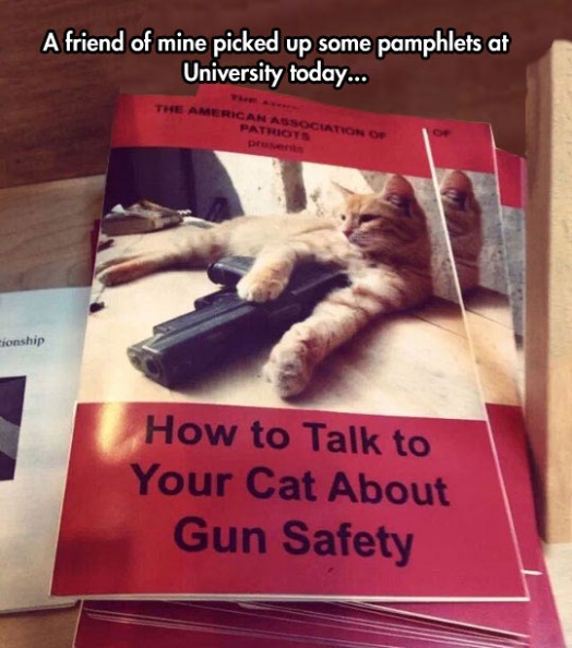 cool-pamphlet-cat-weapon-association.jpg