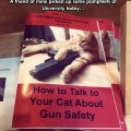 cool-pamphlet-cat-weapon-association