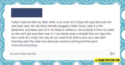 cool-sister-crazy-cat-kitten-protect