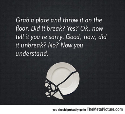 funny-broken-dish-plate-sorry
