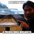 cool-prehistoric-mosquito-museum-surprised