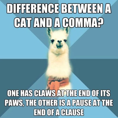 funny-difference-cat-comma-clause