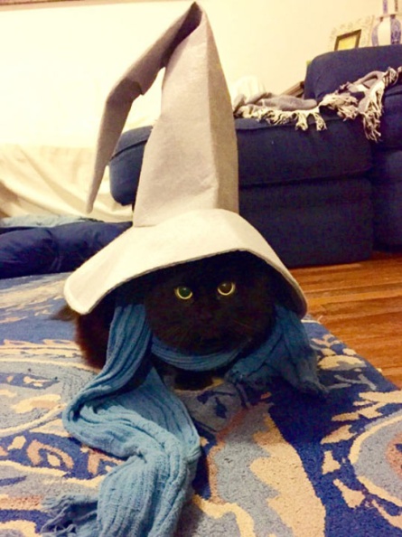 cool-cat-Black-Mage-disguised.jpg