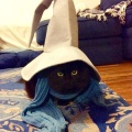 cool-cat-Black-Mage-disguised