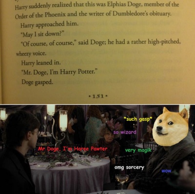 cool-Doge-Harry-Potter-character-book