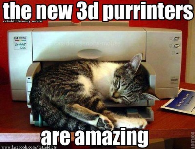 3d-printed-cat