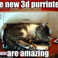 3d-printed-cat