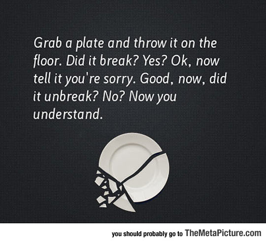 funny-broken-dish-plate-sorry.jpg