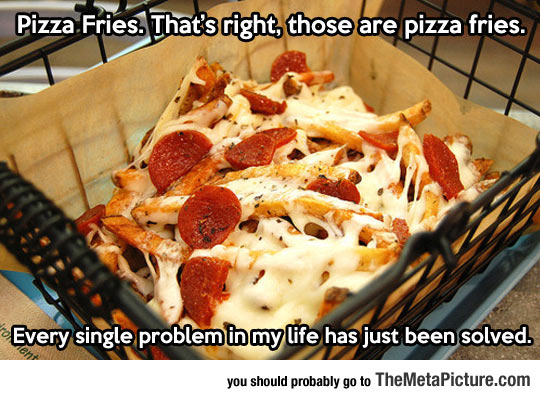 funny-pizza-fries-cheese.jpg