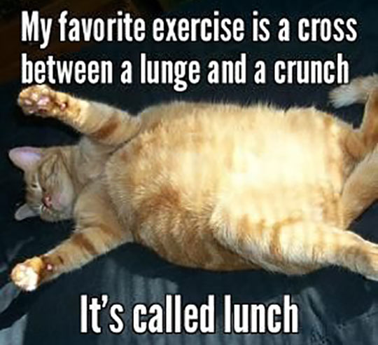 cool-fat-cat-lunch-idea-words.jpg