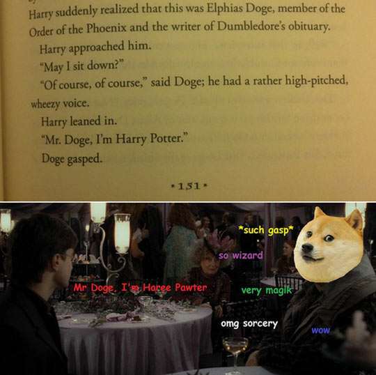 cool-Doge-Harry-Potter-character-book.jpg
